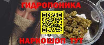 ешки Краснознаменск