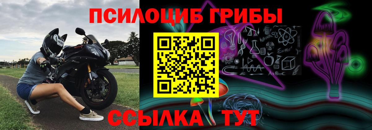 Ирбит  Псилоцибиновые грибы мицелий  Вход с VPN 